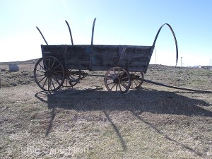 We couldn't help but wonder what it must've been like crossing these endless prairies and deserts in a covered wagon.