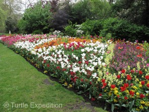 London has many beautiful parks to stroll through and since it was Spring, flowers were in full bloom.