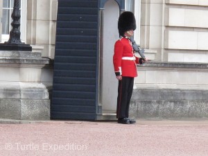 The solitary guard protecting the Queen at Buckingham Palace does get to move occasionally.