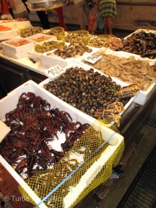 Crabs, mussels, sea snails, barnacles and several kinds of clams including funny razorbacks were a treat for seafood lovers.