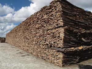 Premium cork, like the stack in the back seen here, is sent to special