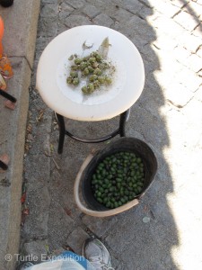 The olives on the white plate were just ready to eat. Carlos served them with salt and wild oregano.