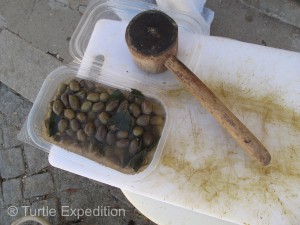 Carlos showed us how he was “cracking” the olives before soaking them. We had done the same, but his process was easier.