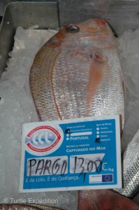 The nearby fish market had a good selection of fresh seafood. Pargo is one of our favorites.