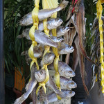 We spotted some unique ways to dry fish.