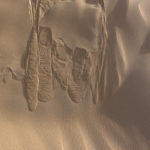 In some places the sand was so fine, almost powder, the vibration of our footsteps would start miniature avalanches.