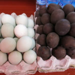 Actually, they are called Pidan or 1000-year-old eggs (among other names) and are considered a delicacy.