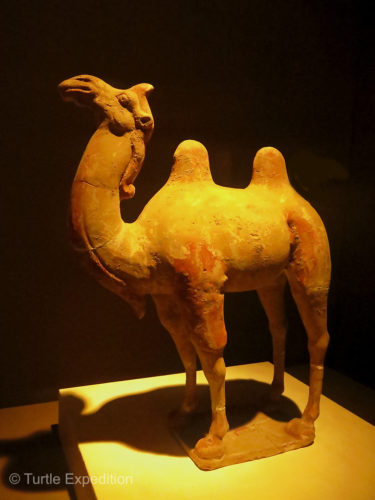 Camel, painted pottery, Tang Dynasty
