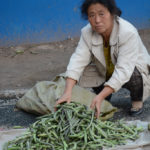Whether selling fresh vegetables, sharpening a cleaver on a stone, sitting in the sun or just going about daily life, Pingyáo was a real town, aside from the tourists.