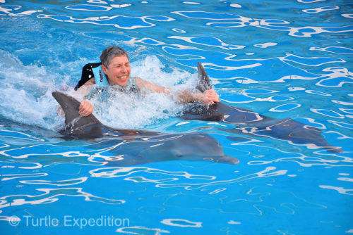 Being taken for a ride by two dolphins was really fun.