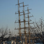 We guess this beautiful three-mast schooner in the harbor was probably a training ship.