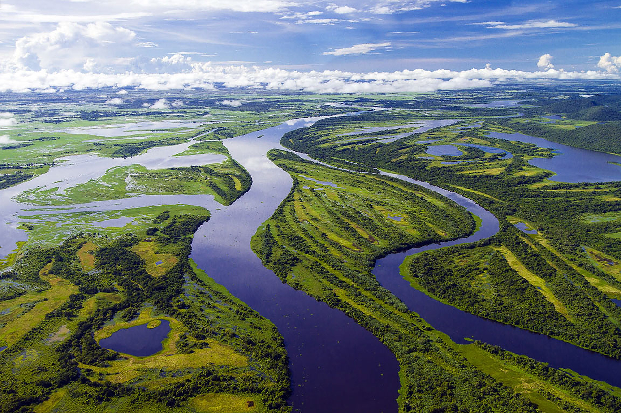 Крупные реки и озера бразилии 7. Национальный парк Пантанал Бразилия. Болота Пантанал Бразилия. Болотистая впадина Пантанал. Пантанал Парагвай.